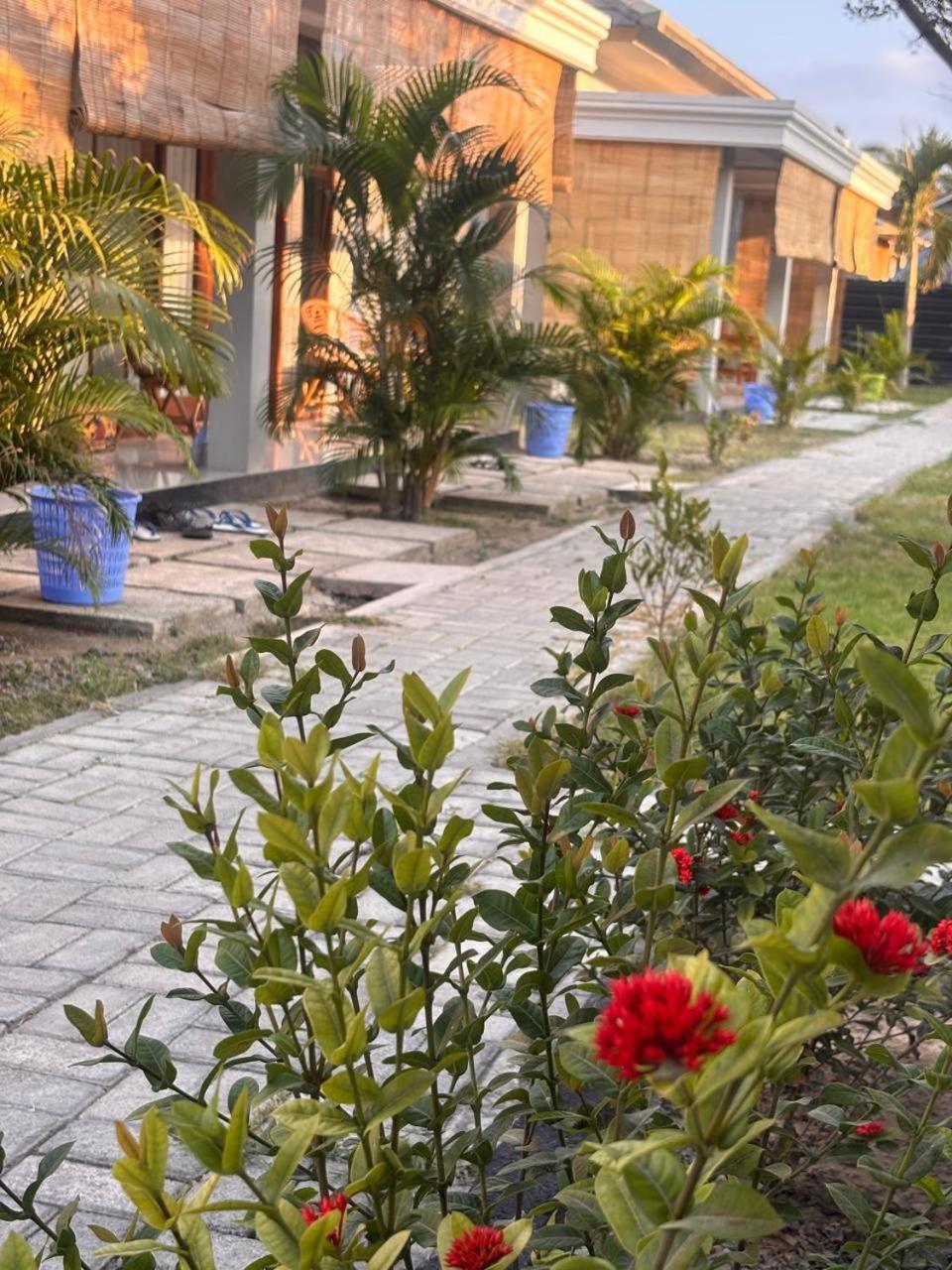 Qwank Kuta Lombok Lägenhet Exteriör bild